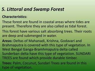 5. Littoral and Swamp Forest
Characteristics:
These forest are found in coastal areas where tides are
present. Therefore they are also called as tidal forest.
This forest have various salt absorbing trees. Their roots
are deep and submerged in water.
Areas: Deltas of Mahanadi, Krishna, Godavari and
Brahmaputra is covered with this type of vegetation. In
West Bengal Ganga-Bramhmaputra delta called
Sunderban delta have this type of vegetation. SUNDARI
TREES are found which provide durable timber.
Trees: Palm, Cocunut, Sundari Trees are found in this
type of vegetation.
 