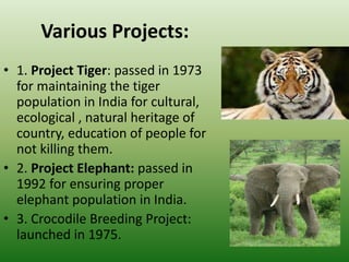 Various Projects:
• 1. Project Tiger: passed in 1973
for maintaining the tiger
population in India for cultural,
ecological , natural heritage of
country, education of people for
not killing them.
• 2. Project Elephant: passed in
1992 for ensuring proper
elephant population in India.
• 3. Crocodile Breeding Project:
launched in 1975.
 