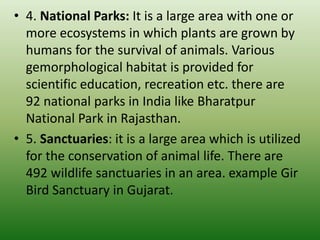 • 4. National Parks: It is a large area with one or
more ecosystems in which plants are grown by
humans for the survival of animals. Various
gemorphological habitat is provided for
scientific education, recreation etc. there are
92 national parks in India like Bharatpur
National Park in Rajasthan.
• 5. Sanctuaries: it is a large area which is utilized
for the conservation of animal life. There are
492 wildlife sanctuaries in an area. example Gir
Bird Sanctuary in Gujarat.
 
