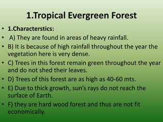 1.Tropical Evergreen Forest
• 1.Characterstics:
• A) They are found in areas of heavy rainfall.
• B) It is because of high rainfall throughout the year the
vegetation here is very dense.
• C) Trees in this forest remain green throughout the year
and do not shed their leaves.
• D) Trees of this forest are as high as 40-60 mts.
• E) Due to thick growth, sun’s rays do not reach the
surface of Earth.
• F) they are hard wood forest and thus are not fit
economically.
 