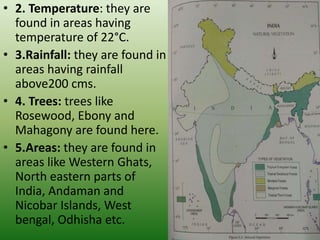 • 2. Temperature: they are
found in areas having
temperature of 22°C.
• 3.Rainfall: they are found in
areas having rainfall
above200 cms.
• 4. Trees: trees like
Rosewood, Ebony and
Mahagony are found here.
• 5.Areas: they are found in
areas like Western Ghats,
North eastern parts of
India, Andaman and
Nicobar Islands, West
bengal, Odhisha etc.
 