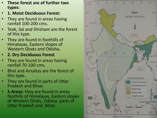 • These forest are of further two
types:
• 1. Moist Deciduous Forest:
• They are found in areas having
rainfall 100-200 cms.
• Teak, Sal and Shisham are the forest
of this type.
• They are found in foothills of
Himalayas, Eastern slopes of
Western Ghats and Odisha.
• 2. Dry Deciduous Forest
• They are found in areas having
rainfall 70-100 cms.
• Bhel and Amaltas are the forest of
this type.
• They are found in parts of Uttar
Pradesh and Bihar.
• 5.Areas: they are found in areas
foothills of Himalayas, Eastern slopes
of Western Ghats, Odisha, parts of
Uttar Pradesh and Bihar.
 