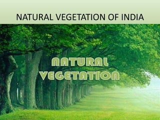 NATURAL VEGETATION OF INDIA
 