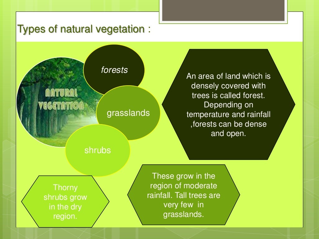 Natural Vegetation And Wildlife Class VIII natural-vegetation-and-wildlife-class-viii
