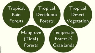 Types of Vegetation found in India | PDF