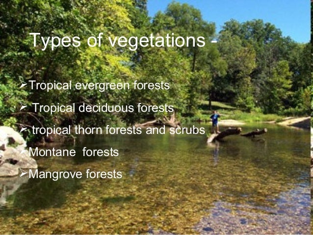 Land Soil Water Natural Vegetation And Wildlife Land Soil Water Natural Vegetation And Wildlife