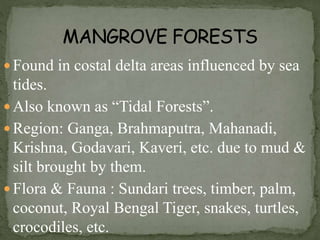  Found in costal delta areas influenced by sea
tides.
 Also known as “Tidal Forests”.
 Region: Ganga, Brahmaputra, Mahanadi,
Krishna, Godavari, Kaveri, etc. due to mud &
silt brought by them.
 Flora & Fauna : Sundari trees, timber, palm,
coconut, Royal Bengal Tiger, snakes, turtles,
crocodiles, etc.
 