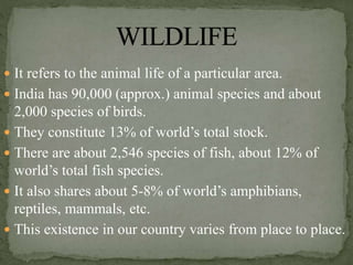  It refers to the animal life of a particular area.
 India has 90,000 (approx.) animal species and about
2,000 species of birds.
 They constitute 13% of world’s total stock.
 There are about 2,546 species of fish, about 12% of
world’s total fish species.
 It also shares about 5-8% of world’s amphibians,
reptiles, mammals, etc.
 This existence in our country varies from place to place.
 