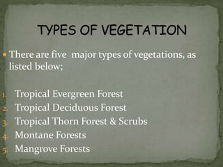  There are five major types of vegetations, as
listed below;
1. Tropical Evergreen Forest
2. Tropical Deciduous Forest
3. Tropical Thorn Forest & Scrubs
4. Montane Forests
5. Mangrove Forests
 