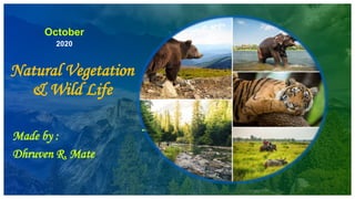 October
2020
Natural Vegetation
& Wild Life
Made by :
Dhruven R. Mate.
 