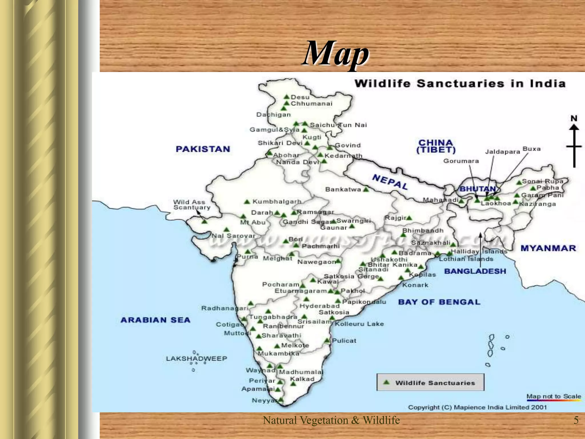 Natural Vegetation & Wildlife 5
Map
 