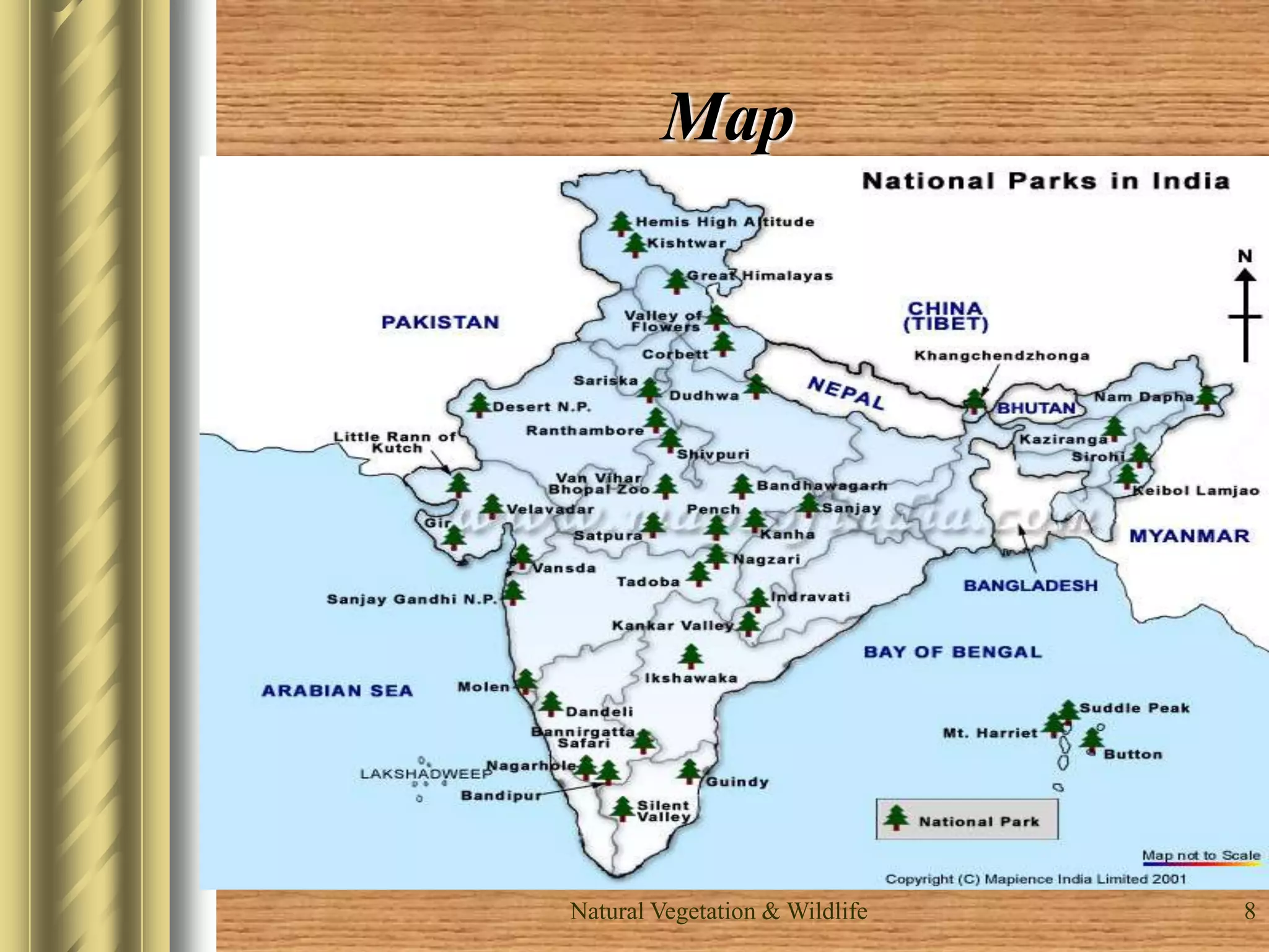 Natural Vegetation & Wildlife 8
Map
 