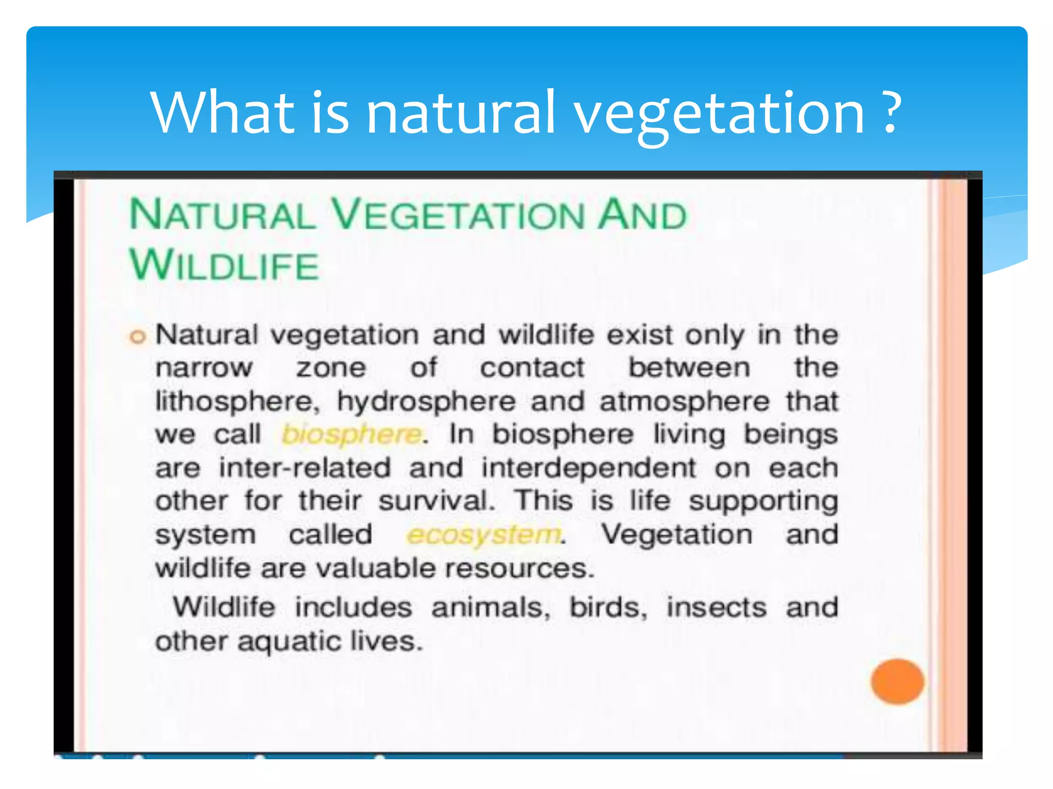 What is natural vegetation ?