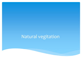 Natural vegitation
 