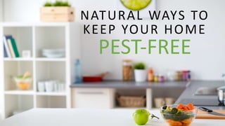 NATURAL WAYS TO
KEEP YOUR HOME
PEST-FREE
 