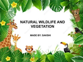 NATURAL WILDLIFE AND
VEGETATION
MADE BY: SAKSHI
 