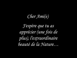 Cher Ami(e)  J'espère que tu as apprécier (une fois de plus), l'extraordinaire beauté de la Nature… 