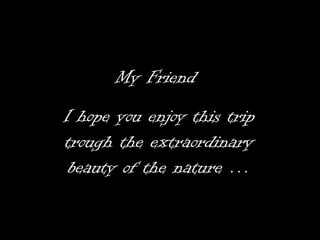 My Friend
I hope you enjoy this trip
trough the extraordinary
 beauty of the nature …
 