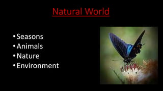 Natural World
•Seasons
•Animals
•Nature
•Environment
 