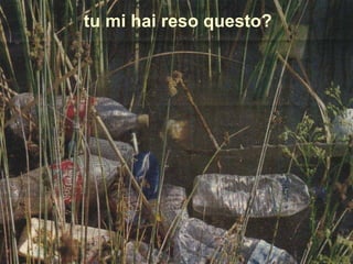 tu mi hai reso questo?
 