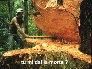 tu mi dai la morte ?
 