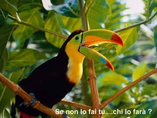 Se non lo fai tu....chi lo farà ?
 