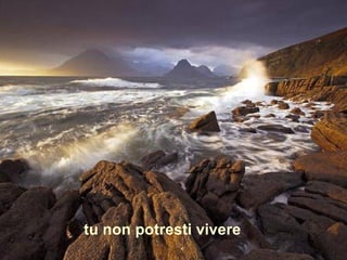 tu non potresti vivere
 