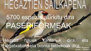 PASERIFORMEAK
Hegazti hauek kantariak dira, eta
Hegatxabala eta txonta taldekoak dira.
5700 espezie aurkitu dira
 