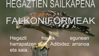 Hegazti hauek egunean
harrapatzen dute. Adibidez: arranoa
eta saia.
 