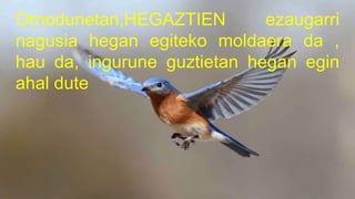 Ornodunetan,HEGAZTIEN ezaugarri
nagusia hegan egiteko moldaera da ,
hau da, ingurune guztietan hegan egin
ahal dute
 