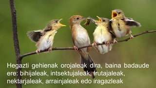 Hegazti gehienak orojaleak dira, baina badaude
ere: bihijaleak, intsektujaleak, frutajaleak,
nektarjaleak, arrainjaleak edo iragazleak
 