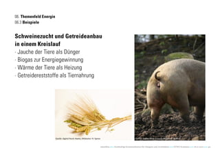 06. Themenfeld Energie
06.3 Beispiele


Schweinezucht und Getreideanbau
in einem Kreislauf
· Jauche der Tiere als Dünger
·...