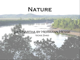 Nature Siddhartha  by Hermann Hesse Vickie Zhao 
