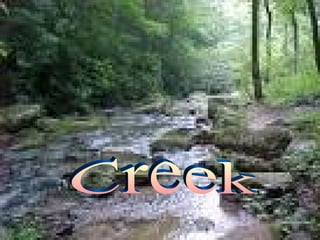 Creek 