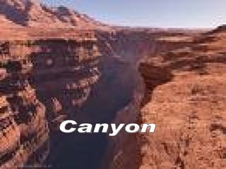 Canyon 