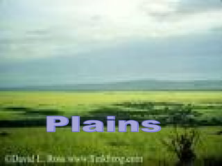 Plains 