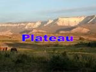 Plateau 