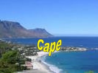 Cape 
