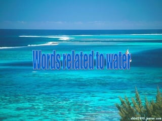 Words related to water 