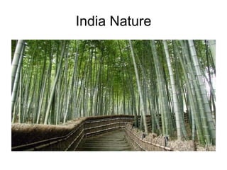 India Nature
