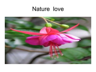 Nature love