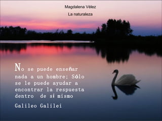N o se puede ense ñ ar nada a un hombre; S ó lo se le puede ayudar a encontrar la respuesta dentro  de s í  mismo Galileo Galilei Magdalena Vélez La naturaleza 
