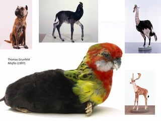 Thomas Grunfeld Misfits  (1997) 