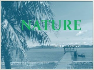 NATURE BY: H.D. CARBERRY 