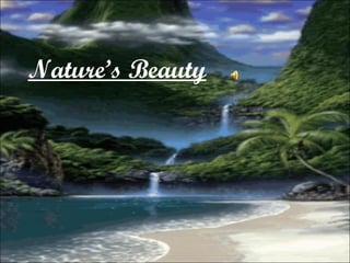 Nature’s Beauty 