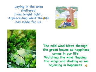 Laying in the area sheltered  from bright light,  Appreciating what the life has made for us. The mild wind blows through  the green leaves as happiness comes in our life. Watching the wind flapping  the wings and shaking as we rejoicing in happiness. 