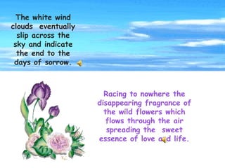 Racing to nowhere the disappearing fragrance of the wild flowers which flows through the air spreading the  sweet essence of love and life. The white wind clouds  eventually slip across the sky and indicate the end to the days of sorrow. 