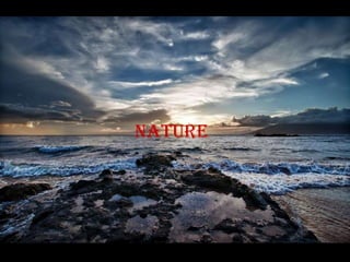 nature
 