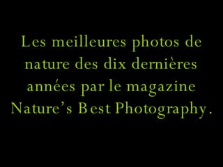 Les meilleures photos de nature des dix dernières années par le magazine Nature’s Best Photography. 