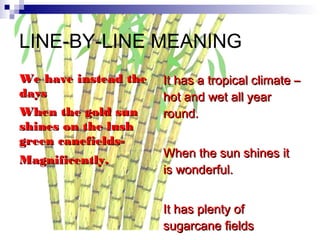 LINE-BY-LINE MEANING
We have instead the   It has a tropical climate –
days                  hot and wet all year
When the gold sun     round.
shines on the lush
green canefields-
                      When the sun shines it
Magnificently.
                      is wonderful.


                      It has plenty of
                      sugarcane fields
 